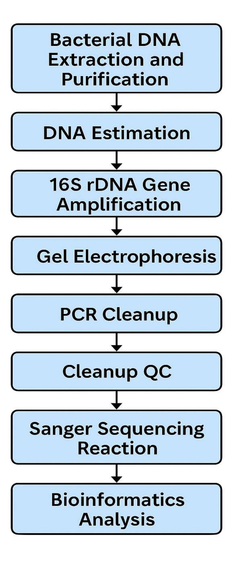 Bacterial Identification by 16S rDNA Sequencing_page-0002 Bacterial Identification by 16S rDNA Sequencing_page-0002
